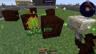 76 - BOTANIA Blume MUNCHDEW - SKY FACTORY 3