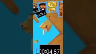 speed run all obby in (find the cat) #roblox #speedrun
