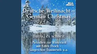 Wenn es drau&szlig;en wei&szlig;e Flocken schneit