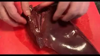 Bison Liver