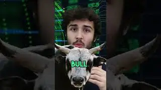 We're in a bear market, but what does that mean?