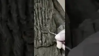 Tree bark sculpting #artificial #art #sculpture #diy # cement art#sculpture