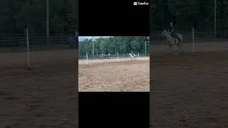 Zoom right by her! #horse #crazyhorse #lovethis