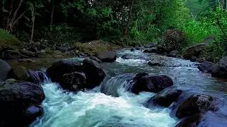 Sweet Dreaming with River Ambience, Enhance Your Dreamscapes | ASMR
