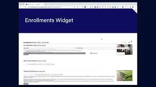 Mindbody widget fix for Squarespace 7.1