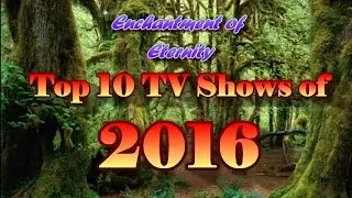 Top 10 TV Shows of 2016