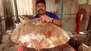 KASIMEDU SPEED SELVAM 🤯BIG SIZE STINGRAY FISH CUTTING ⚔️VIDEO FISHERMAN ENTERTAINMENT VIDEOS 👌🏻🤯
