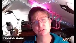 Cat Chat with Penny - Oral Cancer in Cats