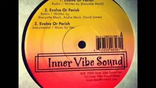 Inner Vibe Sound - Evolve Or Perish