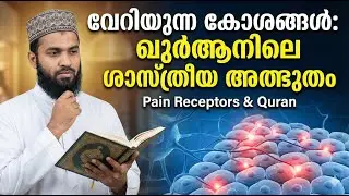 വേദന അറിയുന്ന കോശങ്ങൾ ഖുർആനിലെ ശാസ്ത്രീയ അത്ഭുതം  Pain Receptors & Quran
