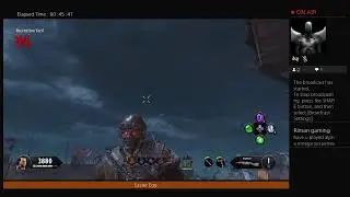 jamesbrimstone's Live With IX-9 Final FIGHT Easteregg solo Free doors