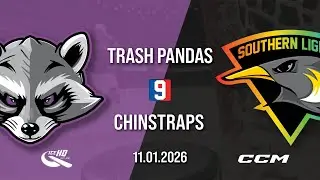 Trash Pandas vs SL Chinstraps - Div 9 - 11th January - iceHQ Rec League ice hockey