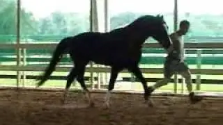 Free jumping & working in hand