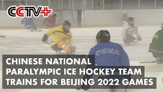 Chinese National Paralympic Ice Hockey Team under Intense Training for Beijing 2022 Games