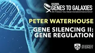 Gene Silencing II: Gene regulation &mdash; Professor Peter Waterhouse