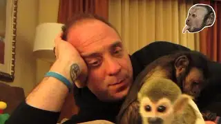 Capuchin Monkey and Baby Squirrel Monkey