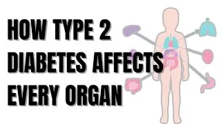 How Type 2 Diabetes Affects Every Organ #healthtips #healthyfood #health #shortvideo #fyp #diabetes