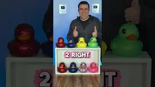 4 Ducks Matching Game! 🦆🦆🦆🦆 #fungame #games #familygames