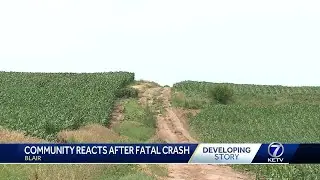 Grief counselors help students, staff after deadly crash involving Blair Middle School students