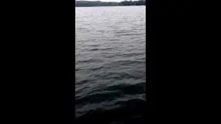 Up North Muskie Fishing