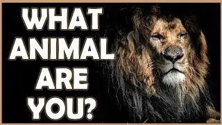 What wild animal are you? (personality test)