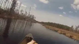 Pagami Creek - Part 4 of 5 - Paddling upstream and passing Weasel Creek confluence in the BWCA