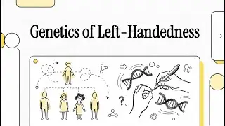 Is Left-Handedness Inherited? | Polygenic Inheritance Explained