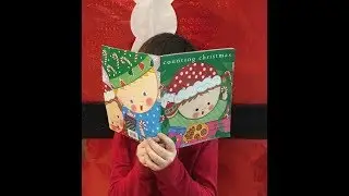 Mystery Reader 