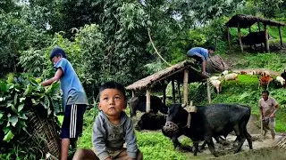 Simple Nepali Mountain Village Life || Real Nepali Lifestyle || Db Limbu