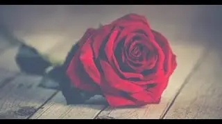 ❤️DIVINE LOVE/SACRED PARTNER AFFIRMATIONS❤️