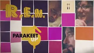 R.E.M. - Parakeet (Official Visualizer from 