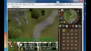 Runescape 2007  Botting software  Tribot 2016 UPDATED FREEE
