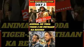 Animal Movie Box Office Collection Day-2 @starscreenin