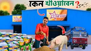 250kg খাবারে তৈরি হবে 100 kg pig || কেন খাওয়াবেন star feed কতটা ভূমিকা আপনার খামারে || star feed