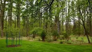RE/MAX House Values - 15 OPENAKI RD