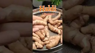 Haldi k Fyade l Turmeric Health Benefits l Immunity Booster #shorts