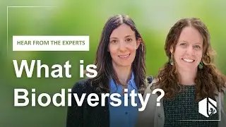 What is Biodiversity? Hear from the experts!