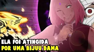 SAKURA LUTOU CONTRA UM SEGUIDOR DO DANZOU!