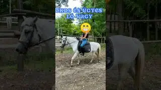 YouTube lev&aacute;gta a feliratot😭 #fick&oacute; #pony #shorts #sad #horse #horseriding ❤️