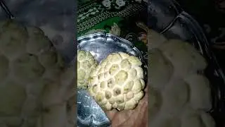 see.guys.custred.  Apple.s. please # youtube # shorts # . Bibi asiya malti ples shorts