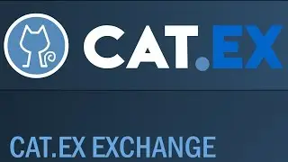 Обзор Проекта Catex Token (CATT)