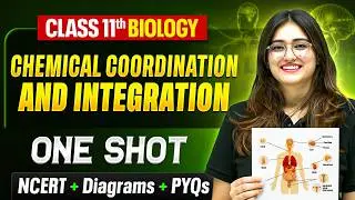Chemical Coordination And Integration Class 11 One Shot 🔥 | NCERT + Diagrams | By Aarushi Ma'am