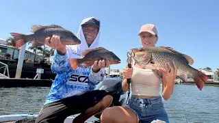 Fishing SEQ canals for Mangrove Jacks - Aus Day long weekend 