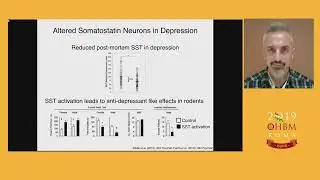 OHBM 2019 | Symposium | Transcriptional Landscape of Cortical Interneurons Underlies In - Vivo&hellip;
