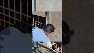window plaster work #construction #work #shortvideo #YouTubeshorts #viralshots