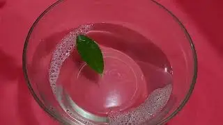 Sink or Float Science 4 observation activity of Athany | Matter