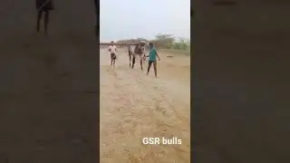 GSR bulls