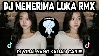 DJ MENERIMA LUKA REMIX VIRAL FYP TIKTOK 2025!