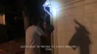 SPIDER EXTERMINATION GONE WRONG