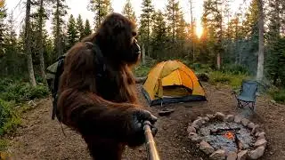 Bigfoot Returns a Lost Backpack